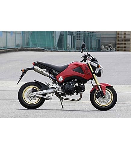 Amazon | オーヴァーレーシング(OVERRACING) ツインカーボンマフラー